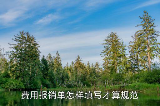 報銷單填寫規(guī)范，差旅費報銷單怎么填