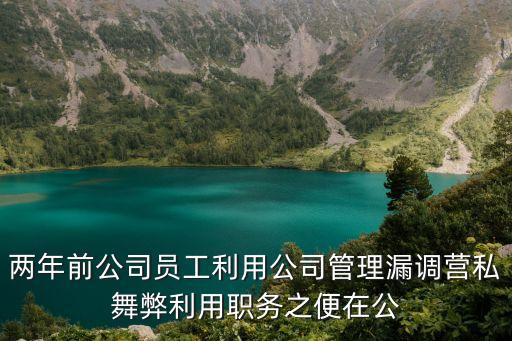 兩年前公司員工利用公司管理漏調(diào)營私舞弊利用職務(wù)之便在公