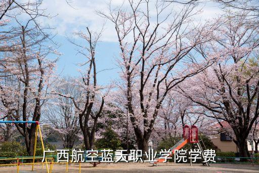 廣西航空藍天職業(yè)學(xué)院學(xué)費