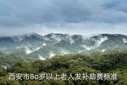 陜西高齡補(bǔ)貼標(biāo)準(zhǔn)，西安市8o歲以上老人發(fā)補(bǔ)助費(fèi)標(biāo)準(zhǔn)