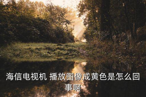 黃色影像，海信電視機 播放圖像成黃色是怎么回事啊
