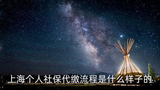 上海社保代繳，上海哪里可以代繳社保五險一金