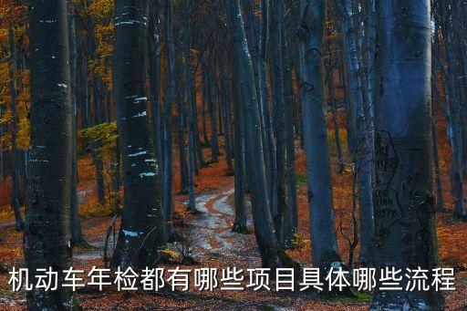 機(jī)動(dòng)車年檢都有哪些項(xiàng)目具體哪些流程