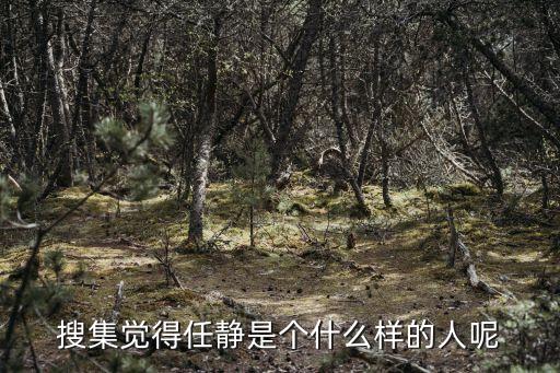 搜集覺得任靜是個(gè)什么樣的人呢