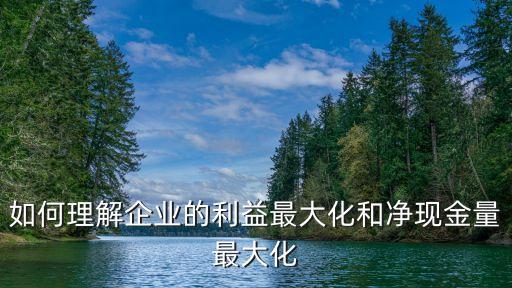如何理解企業(yè)的利益最大化和凈現(xiàn)金量最大化