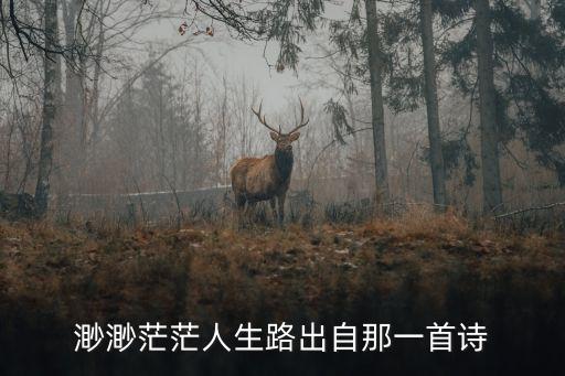 渺渺茫茫人生路出自那一首詩