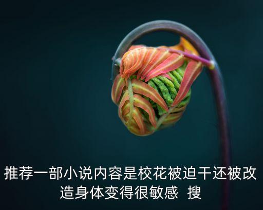 校花淫亂，推薦一部小說內(nèi)容是?；ū黄雀蛇€被改造身體變得很敏感  搜