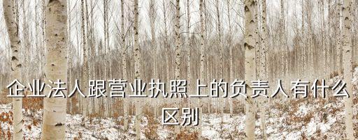 公司負(fù)責(zé)人，公司負(fù)責(zé)人介紹