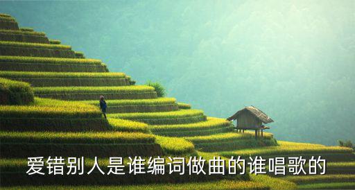 戴玲，可不可以這首歌是誰唱的