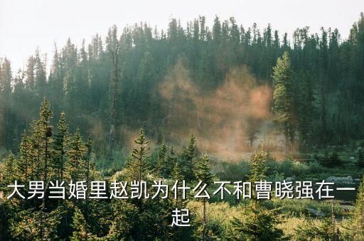 大男當婚里趙凱為什么不和曹曉強在一起