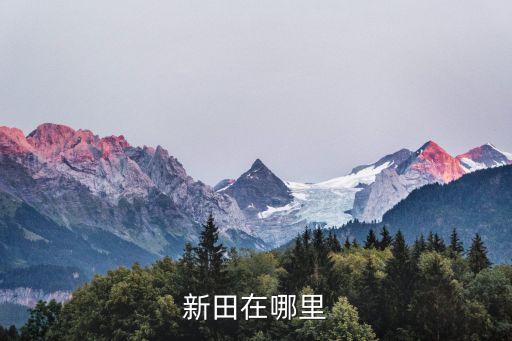 湖南新田，新田在哪里