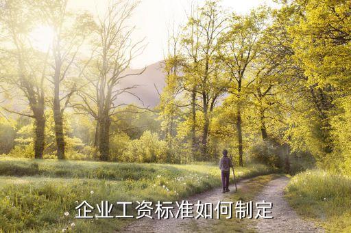 工資方案如何制定，工資制度怎么訂