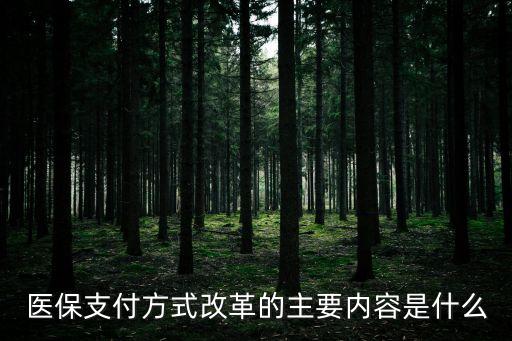 醫(yī)保支付方式改革的主要內(nèi)容是什么