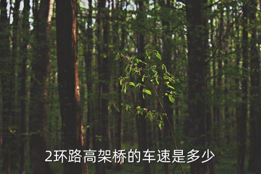 2環(huán)路高架橋的車速是多少