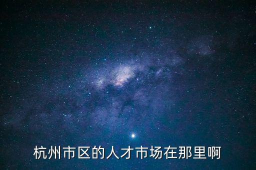 杭州市區(qū)的人才市場在那里啊