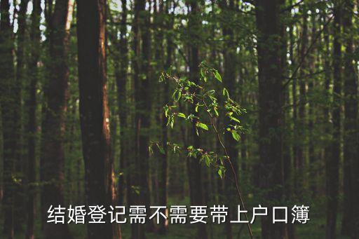 結(jié)婚要不要戶口本，結(jié)婚登記用戶口本嗎