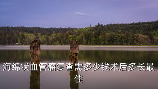 海綿狀血管瘤復查需多少錢術(shù)后多長最佳