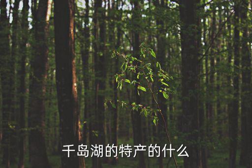 千島玉葉，千島玉葉和西湖龍井哪個好