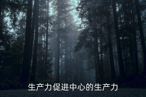 生產(chǎn)力促進(jìn)中心，生產(chǎn)力促進(jìn)中心這個(gè)單位是個(gè)什么情況