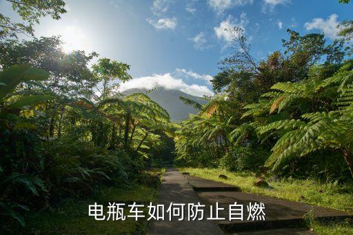 電動(dòng)車自燃，電動(dòng)三輪車自燃怎么辦