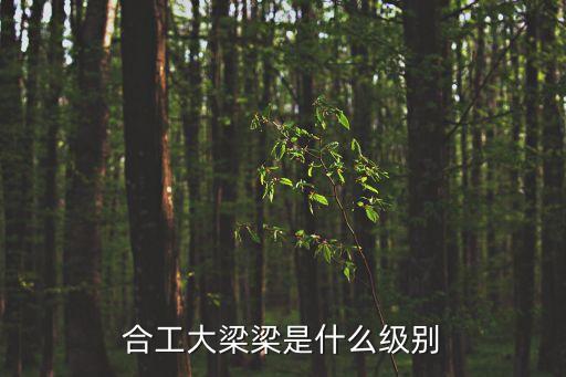合工大梁梁是什么級別