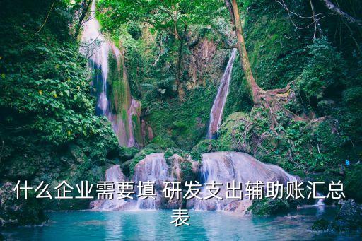 什么企業(yè)需要填 研發(fā)支出輔助賬匯總表