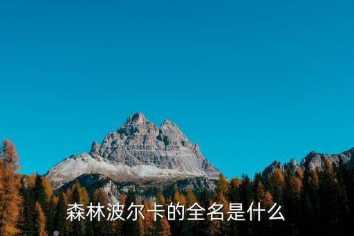 森林波爾卡的全名是什么