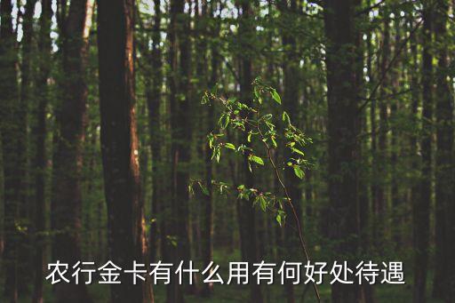 農(nóng)業(yè)銀行金卡，農(nóng)行金卡有什么用有何好處待遇
