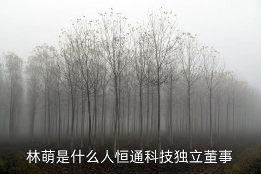 林萌是什么人恒通科技獨(dú)立董事