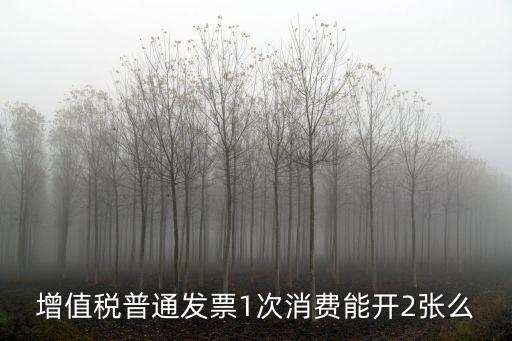 增值稅普通發(fā)票1次消費(fèi)能開2張么