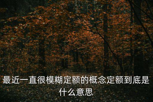 定額是什么意思，最近一直很模糊定額的概念定額到底是什么意思
