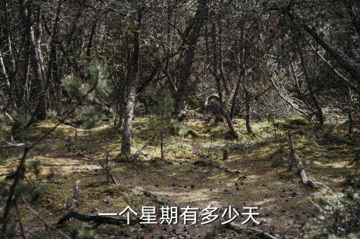 一周多少天，一周是多少天