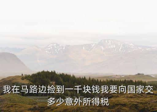我在馬路邊撿到一千塊錢我要向國家交多少意外所得稅