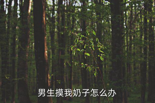 男生摸我奶子怎么辦