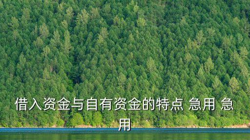 借入資金與自有資金的特點(diǎn) 急用 急用