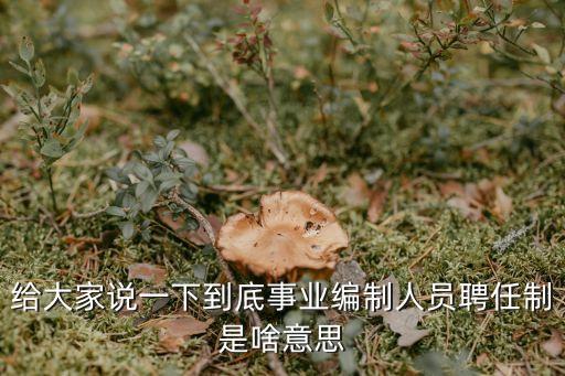 給大家說(shuō)一下到底事業(yè)編制人員聘任制是啥意思