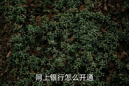 開通網(wǎng)上銀行，網(wǎng)上銀行怎么開通