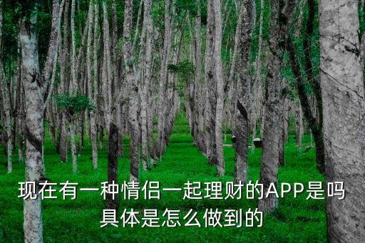 現(xiàn)在有一種情侶一起理財(cái)?shù)腁PP是嗎具體是怎么做到的