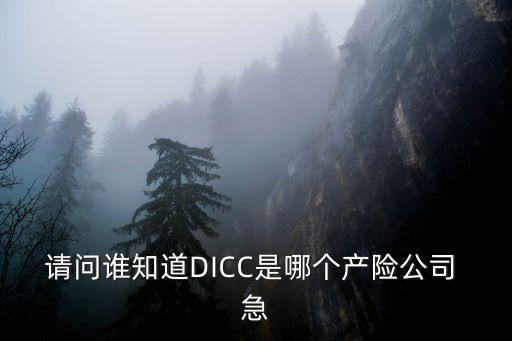 DICC，DICC是什么意思金融方面的