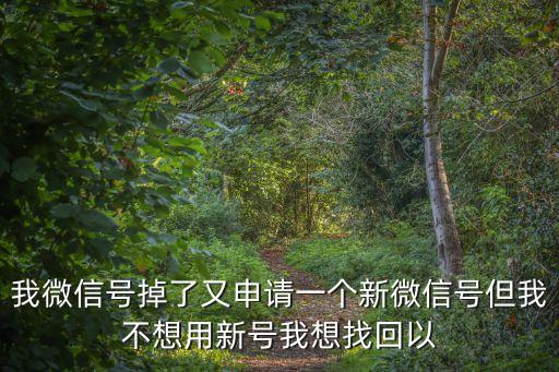我微信號(hào)掉了又申請(qǐng)一個(gè)新微信號(hào)但我不想用新號(hào)我想找回以