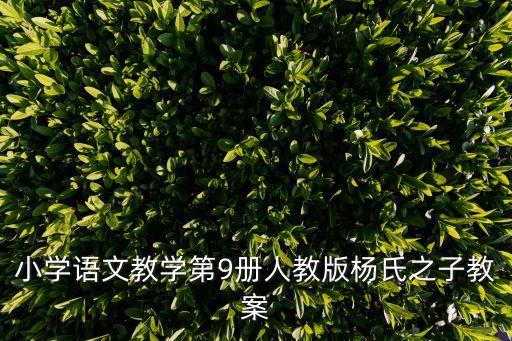 小學語文教學第9冊人教版楊氏之子教案