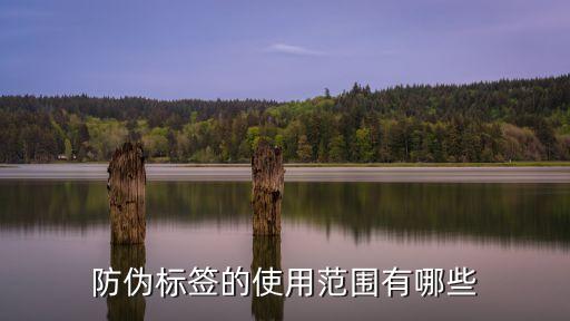 防偽標(biāo)，防偽標(biāo)簽不知道是什么樣的