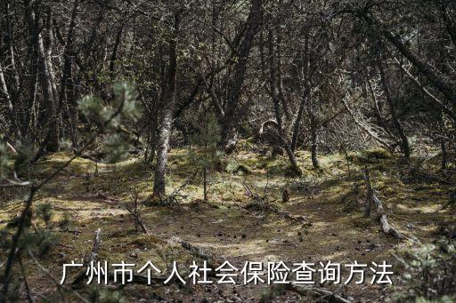 廣州市個人社會保險查詢方法