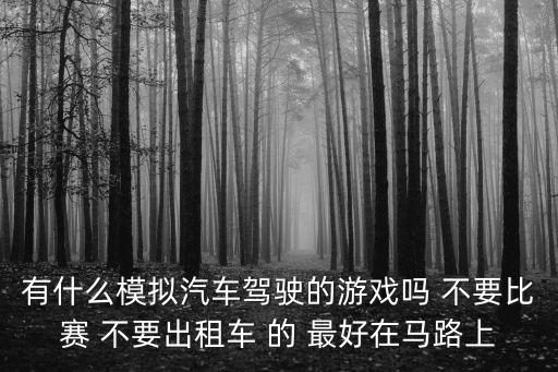 有什么模擬汽車駕駛的游戲嗎 不要比賽 不要出租車 的 最好在馬路上
