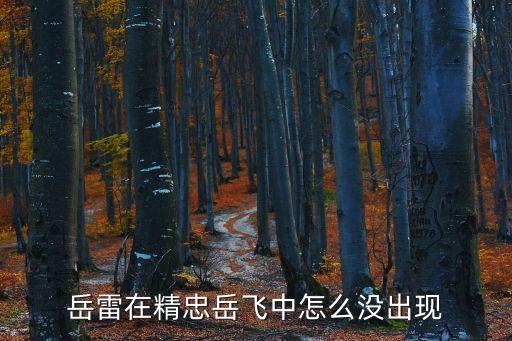 岳雷在精忠岳飛中怎么沒出現(xiàn)