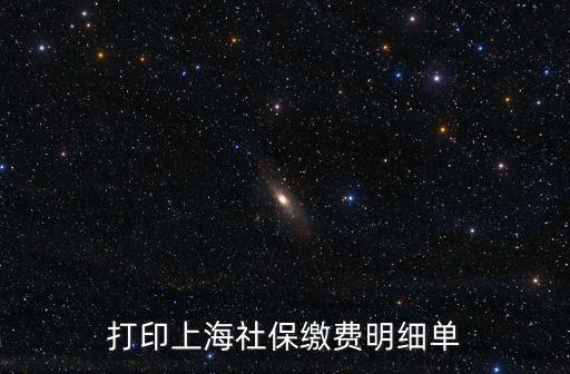 打印上海社保繳費(fèi)明細(xì)單