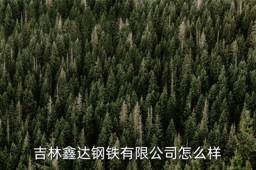 吉林鑫達(dá)鋼鐵有限公司怎么樣