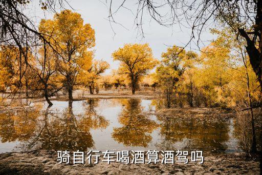 騎自行車喝酒算酒駕嗎，喝酒騎自行車算酒駕嗎