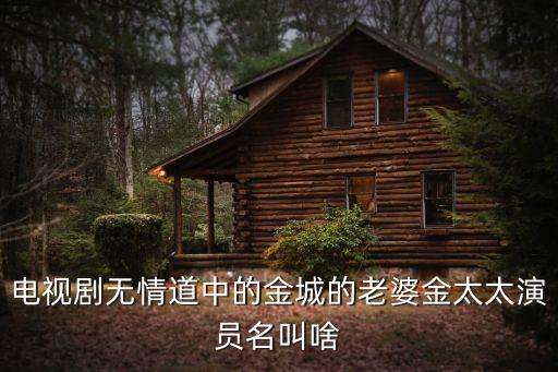 電視劇無情道中的金城的老婆金太太演員名叫啥
