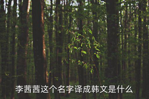 李茜茜，李茜茜這個名字譯成韓文是什么
